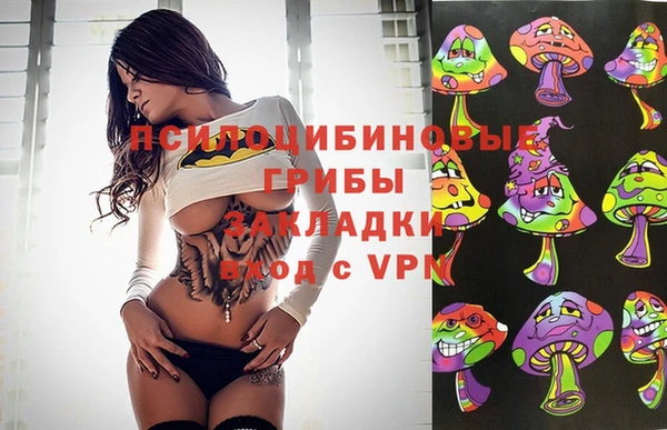 ALPHA PVP Гусев