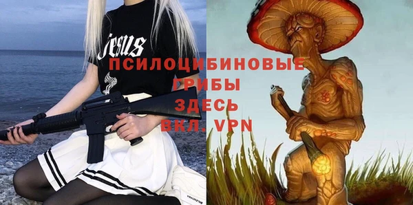 альфа пвп Гусь-Хрустальный