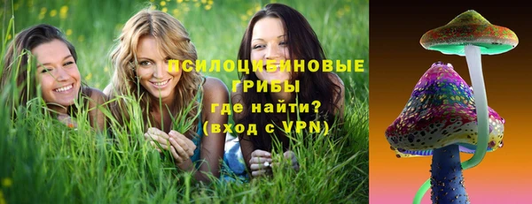 дмт Гусиноозёрск