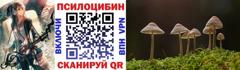 Галлюциногенные грибы мухоморы  купить наркотик  Гусь-Хрустальный 