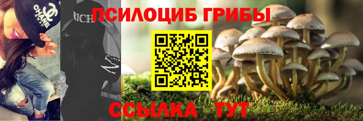 Галлюциногенные грибы Psilocybine cubensis  Вход с VPN  Гусь-Хрустальный 